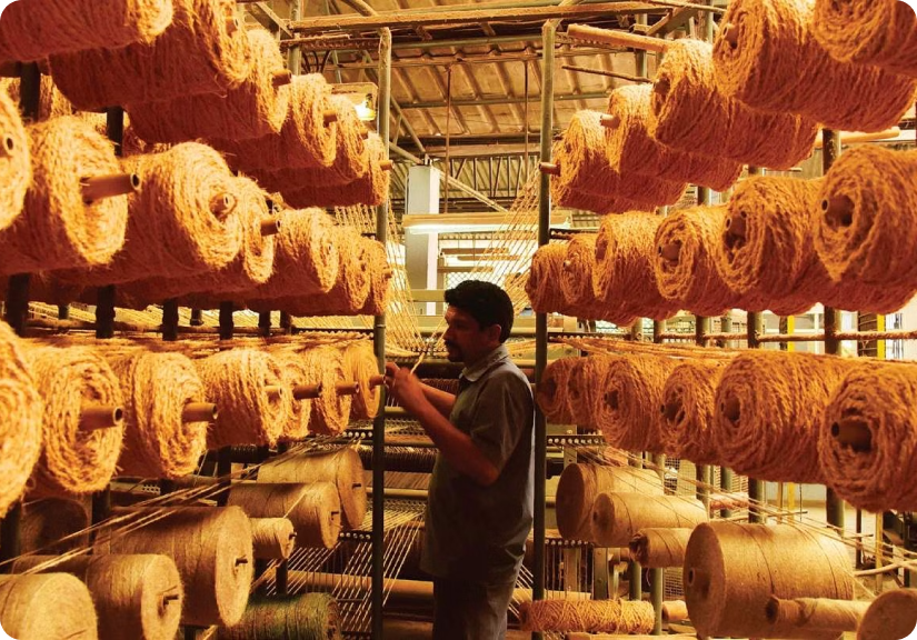 Coconut coir by coir media