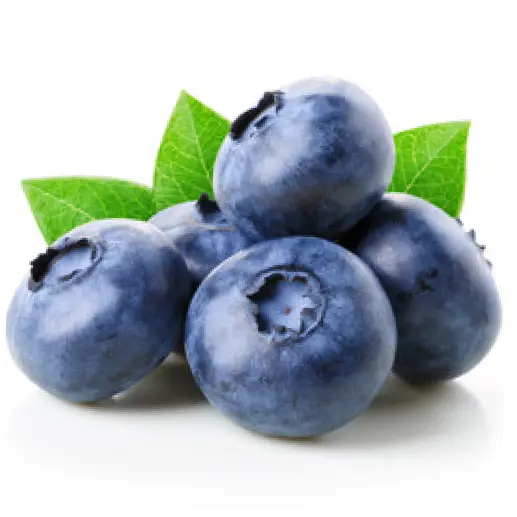 blueberry farming