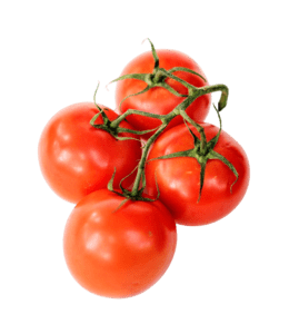 Tomato
